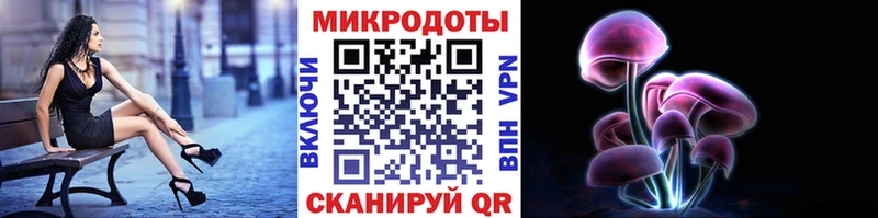 Псилоцибиновые грибы прущие грибы  площадка какой сайт  Дыгулыбгей 